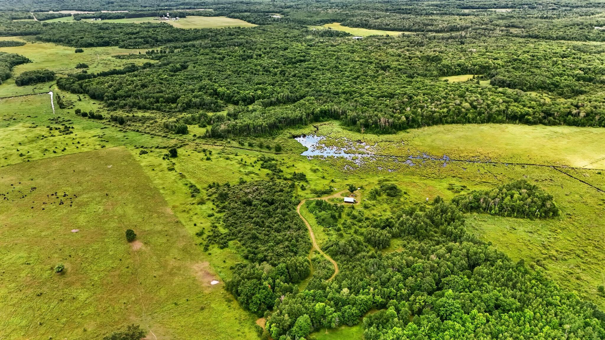 The wetland area is not level with the cabin, and is not built in a floodplain.