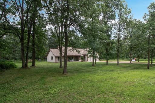 Mature oaks - Level yard