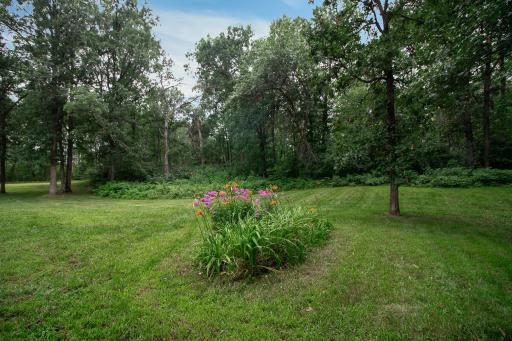 Plenty of green space
