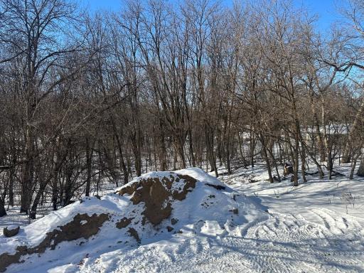 Private Wooded Backyard (from main lvl sliding door)
