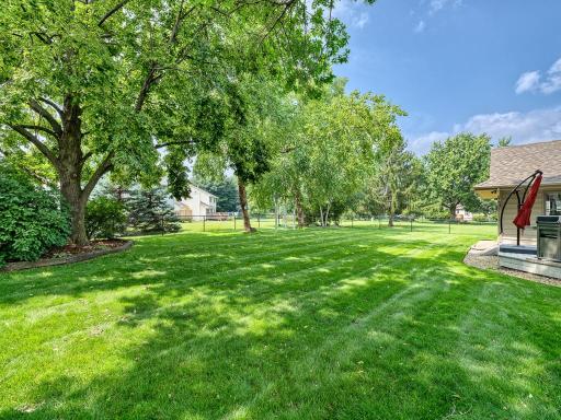 36 - Backyard.jpg