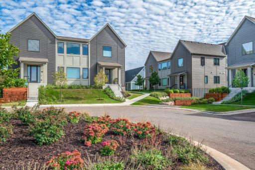 Linden Cove Cul de Sac Garden.jpg