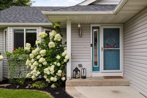 211 Alva Street, Waconia, MN 55387