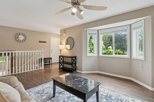 211 Alva Street, Waconia, MN 55387