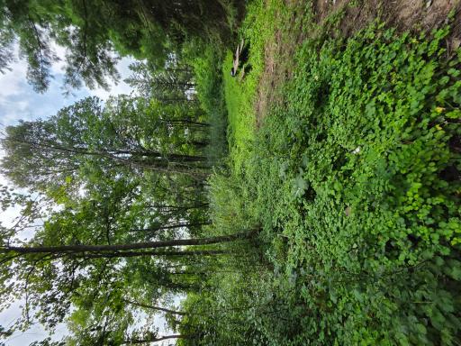 14xxx Dellwood Road N, Stillwater, MN 55082