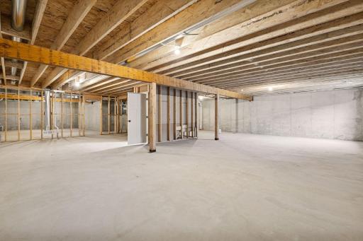 Unfinished Lower Level_All images of a previous model2026-03-15 at 7.02.17 PM 39.jpg