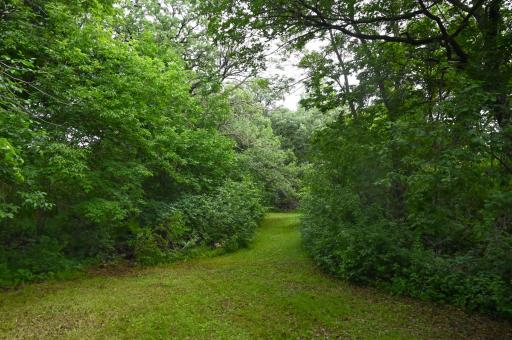 36546 Glenhaven Lane, Battle Lake, MN 56515