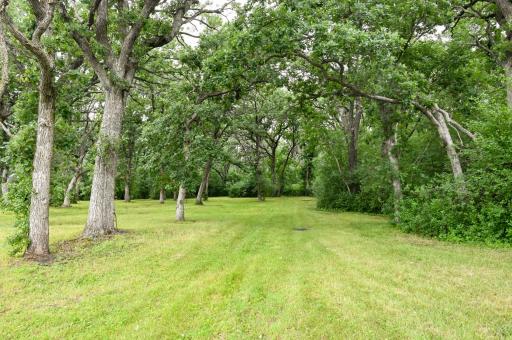 36546 Glenhaven Lane, Battle Lake, MN 56515