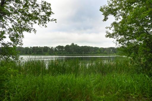 36546 Glenhaven Lane, Battle Lake, MN 56515