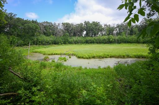 36546 Glenhaven Lane, Battle Lake, MN 56515