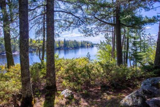 Rainy Lake views from the island