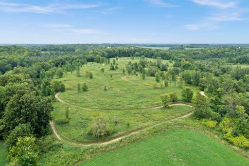 Bottom left corner of track is on neighbors land .Would need to be move to inside of tree.