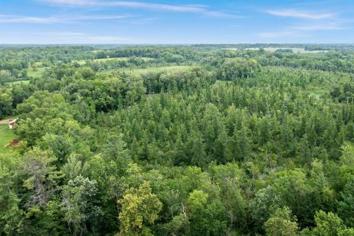 TBD Basswood Road W, Stanchfield, MN 55080