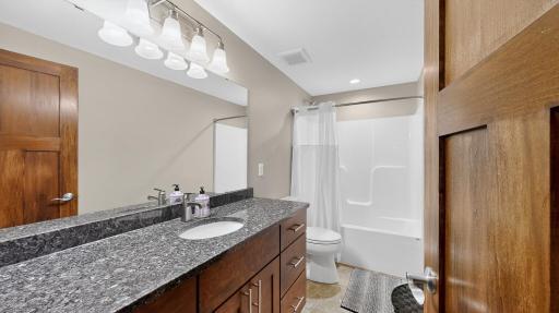 26269 Old Shady Wood Drive, Spring Valley, MN 55975