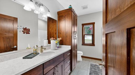 26269 Old Shady Wood Drive, Spring Valley, MN 55975