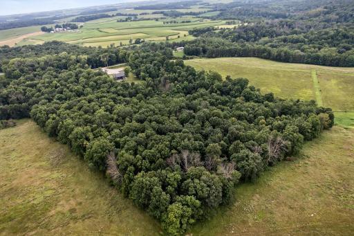 26269 Old Shady Wood Drive, Spring Valley, MN 55975