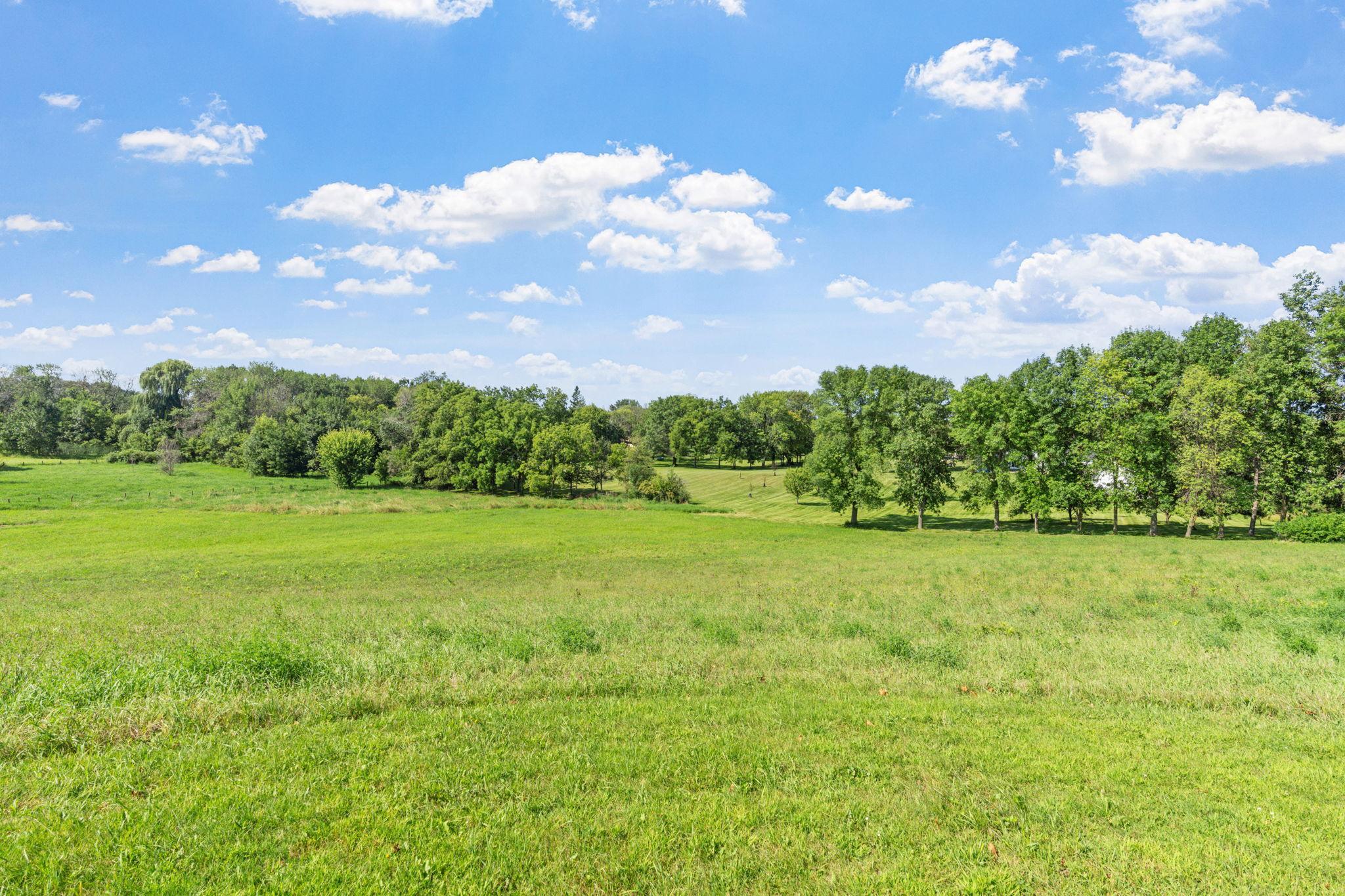 12-web-or-mls-9017 Trail Haven Rd-12.jpg