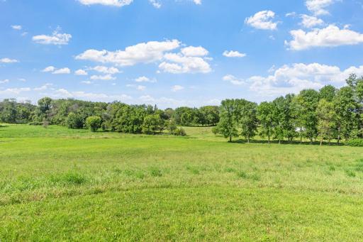 9017 Trail Haven Road, Hamel, MN 55340