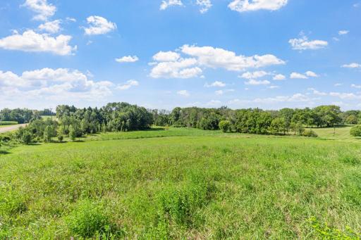 9017 Trail Haven Road, Hamel, MN 55340