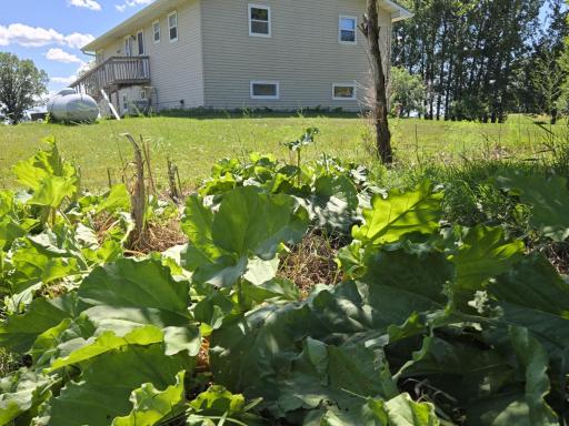 12916 250th Avenue NE, Goodridge, MN 56725