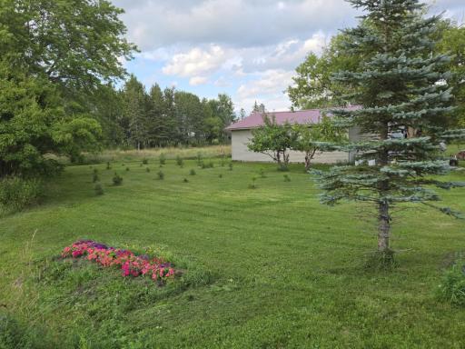 12916 250th Avenue NE, Goodridge, MN 56725