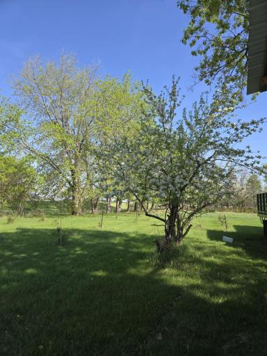 12916 250th Avenue NE, Goodridge, MN 56725