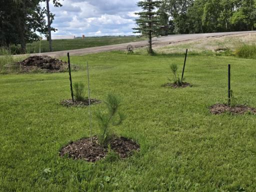 12916 250th Avenue NE, Goodridge, MN 56725