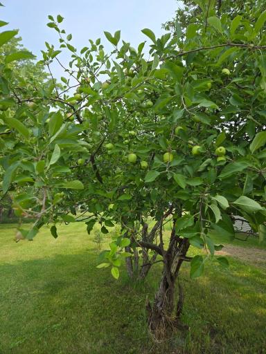 12916 250th Avenue NE, Goodridge, MN 56725