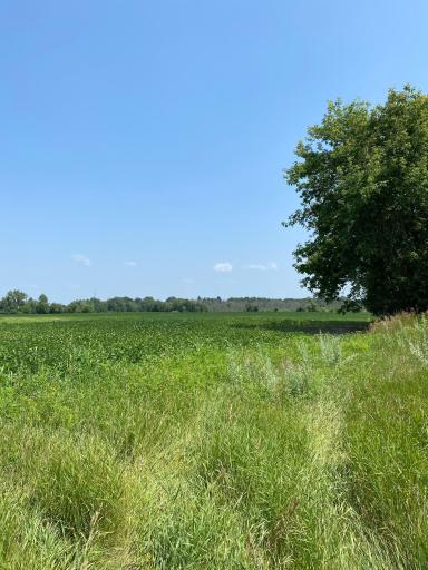 TBD HWY 65 NE, Braham, MN 55006