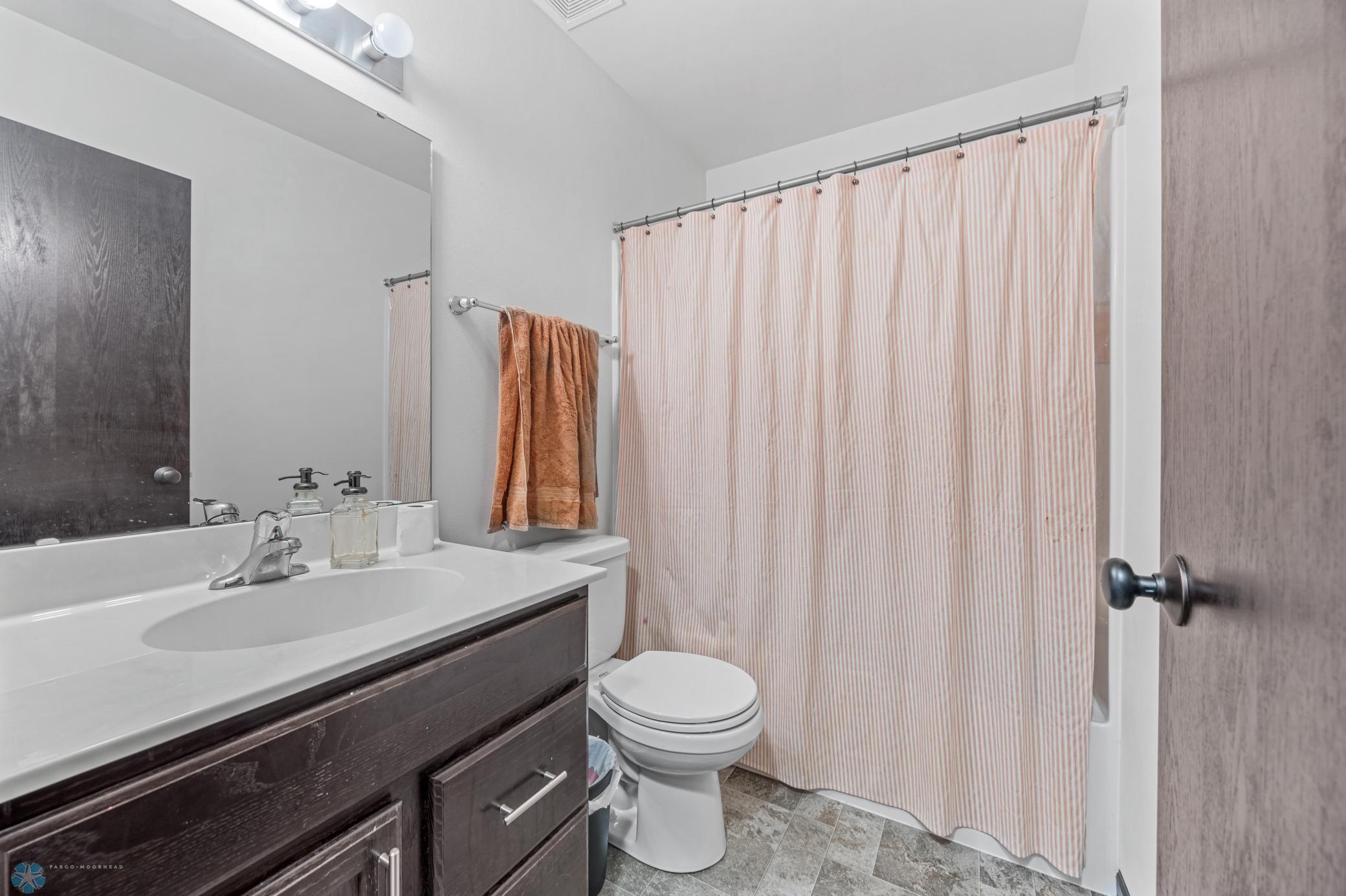 Lower level Bathroom