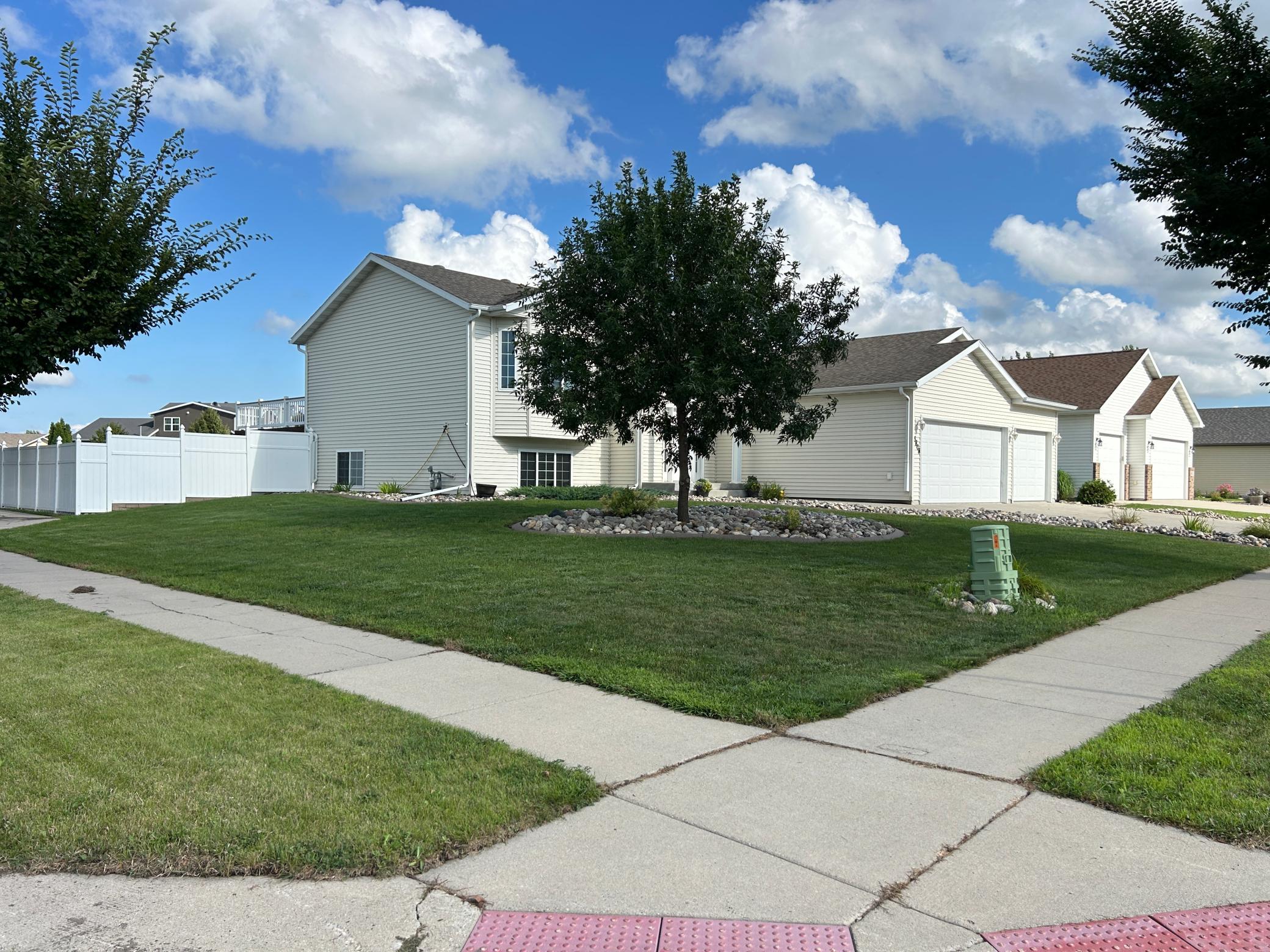 Fenced Yard.JPG