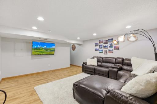 Lower level family room is perfect for getting cozy on the couch and watching a movie.