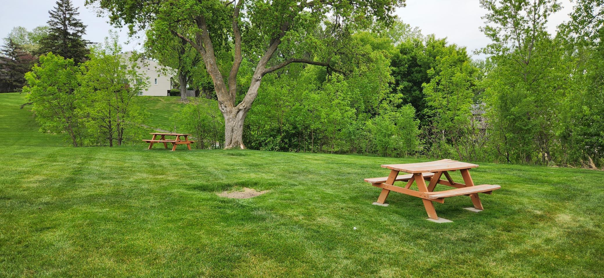 Afternoon picnics in the common area