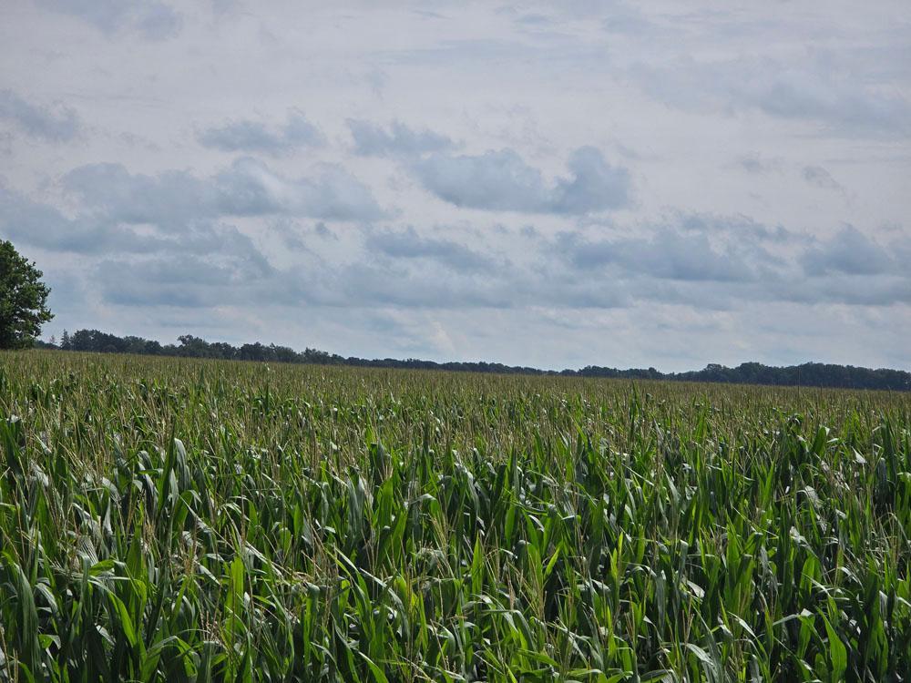 20250806_104716.jpg