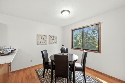 1408 Cleveland Street, Anoka, MN 55303