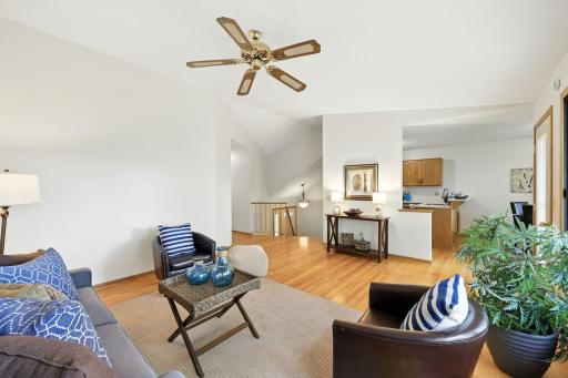 1408 Cleveland Street, Anoka, MN 55303