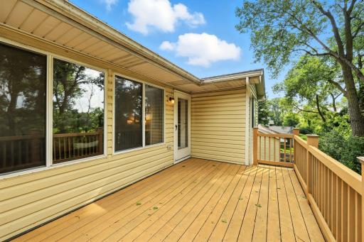 1408 Cleveland Street, Anoka, MN 55303