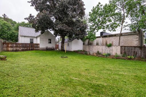 Back Yard.jpg