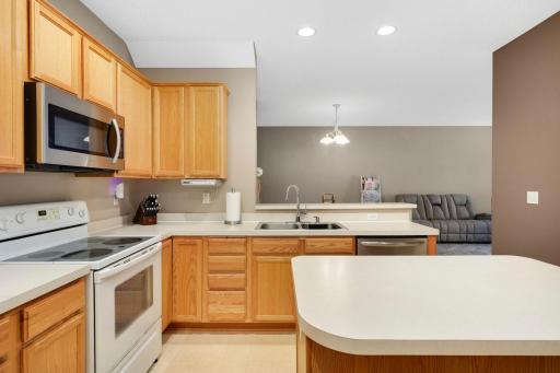 5220 Hummingbird Lane, 176, Farmington, MN 55024