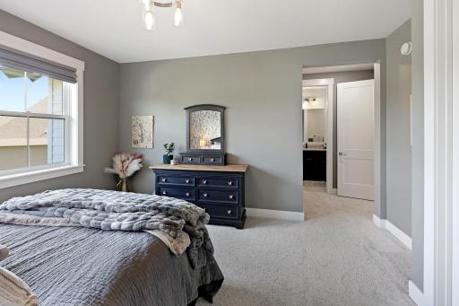 24565 Bentgrass Way, Excelsior, MN 55331