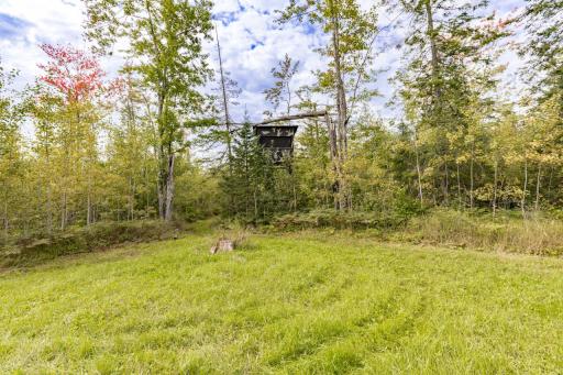 5854 Alborn-Brookston Road, Alborn, MN 55702