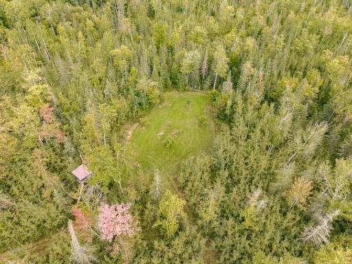 Aerial of Deer stand overlooking food plot