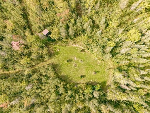 Aerial of deer stand overlooking food plot