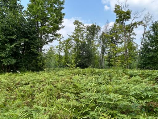 Open area