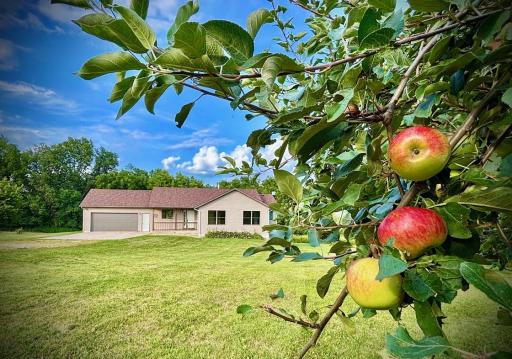 32004 Hemmingway Road, Lewiston, MN 55952