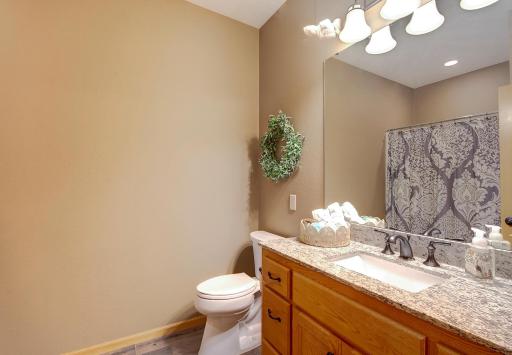 15229 Leander Lane, Montgomery, MN 56069