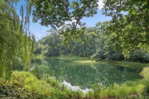 Homeowners on the pond have pond association fee of $288 annually