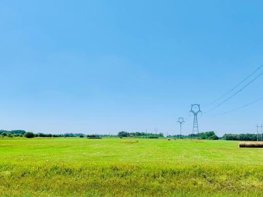 Hayed field from 2024