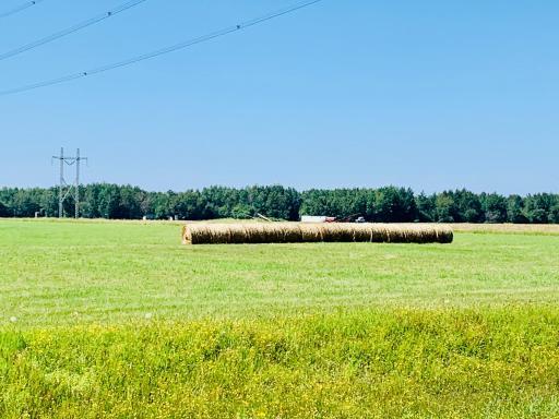 Hay crop from 2024