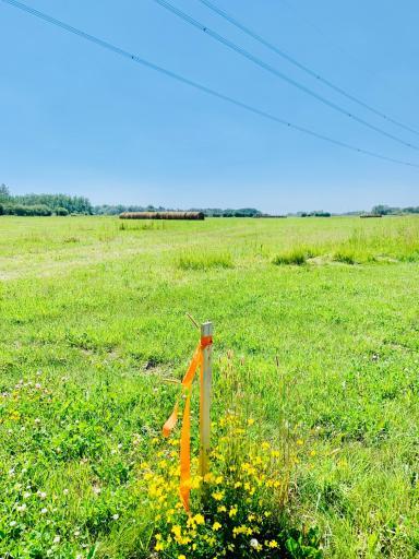 Property survey markers are clear